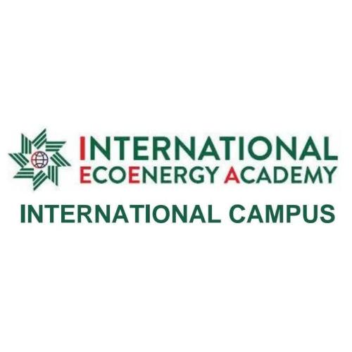 ieeacademy